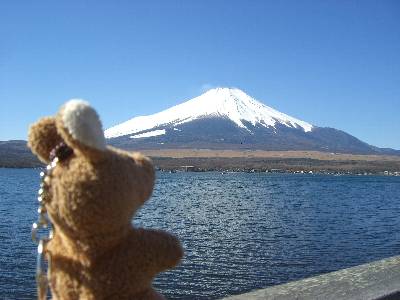 富士山を眺めるルー次郎