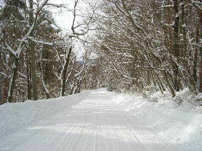 雪深い道路