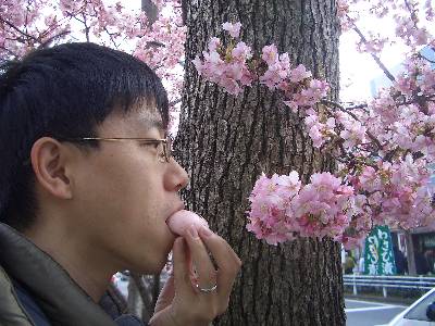 桜まんじゅうを食べる奥村